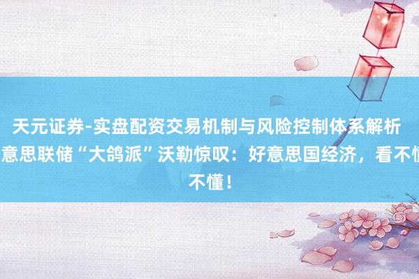天元证券-实盘配资交易机制与风险控制体系解析 好意思联储“大鸽派”沃勒惊叹：好意思国经济，看不懂！