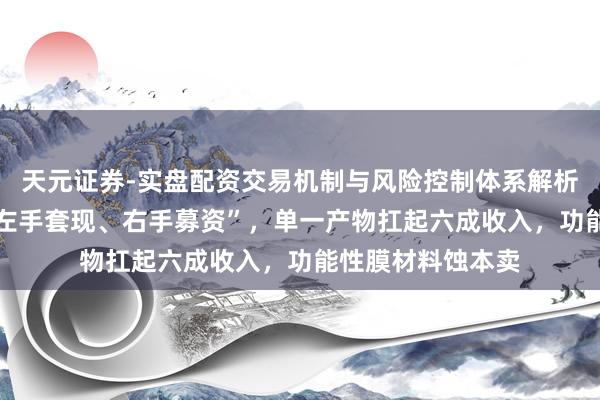 天元证券-实盘配资交易机制与风险控制体系解析 鼎泰高科献技“左手套现、右手募资”，单一产物扛起六成收入，功能性膜材料蚀本卖