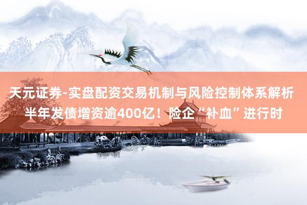 天元证券-实盘配资交易机制与风险控制体系解析 半年发债增资逾400亿！险企“补血”进行时