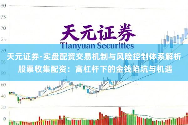 天元证券-实盘配资交易机制与风险控制体系解析 股票收集配资：高杠杆下的金钱陷坑与机遇