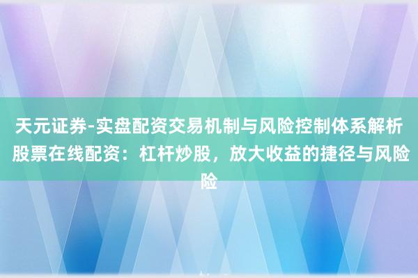 天元证券-实盘配资交易机制与风险控制体系解析 股票在线配资:杠杆炒股,放大收益的捷径与风险
