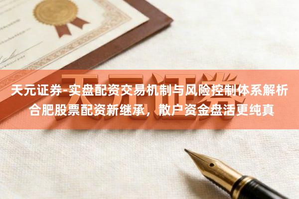 天元证券-实盘配资交易机制与风险控制体系解析 合肥股票配资新继承，散户资金盘活更纯真