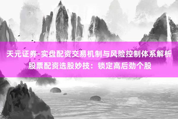 天元证券-实盘配资交易机制与风险控制体系解析 股票配资选股妙技：锁定高后劲个股