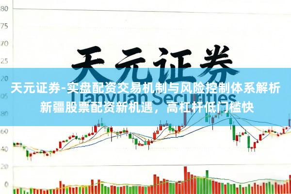 天元证券-实盘配资交易机制与风险控制体系解析 新疆股票配资新机遇，高杠杆低门槛快