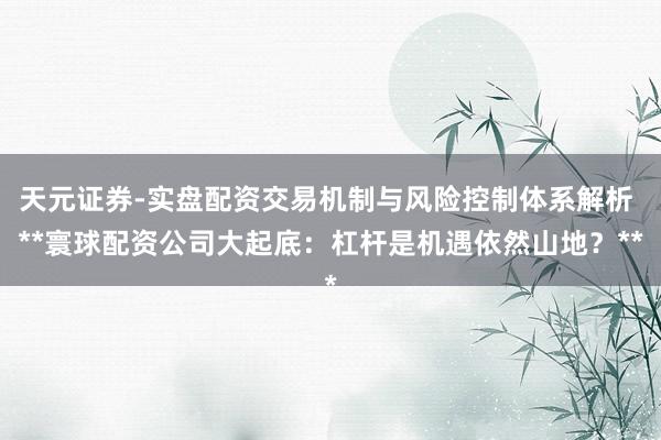 天元证券-实盘配资交易机制与风险控制体系解析 **寰球配资公司大起底：杠杆是机遇依然山地？**