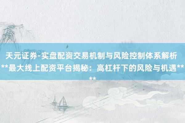 天元证券-实盘配资交易机制与风险控制体系解析 **最大线上配资平台揭秘：高杠杆下的风险与机遇**