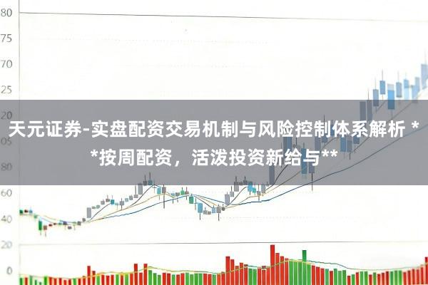 天元证券-实盘配资交易机制与风险控制体系解析 **按周配资，活泼投资新给与**