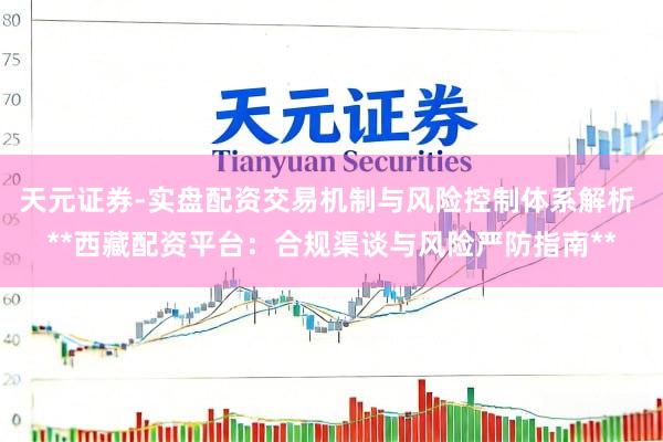 天元证券-实盘配资交易机制与风险控制体系解析 **西藏配资平台：合规渠谈与风险严防指南**