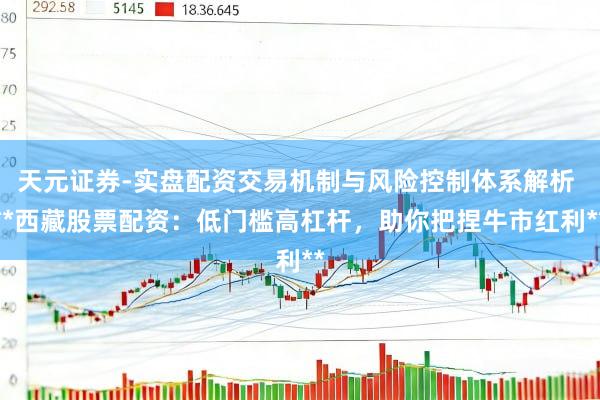 天元证券-实盘配资交易机制与风险控制体系解析 **西藏股票配资：低门槛高杠杆，助你把捏牛市红利**